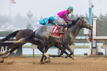 Crazy Mason wins the 2025 Carter Stakes at Aqueduct Racetrack