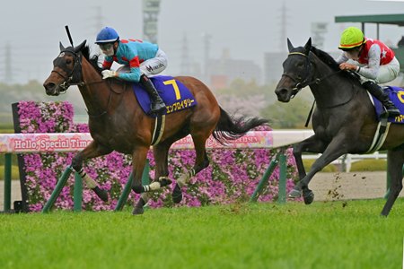 Embroidery wins the Oka Sho at Hanshin Racecourse