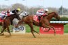 Strategic Focus, Maiden Win, Aqueduct Racetrack, April 19 2025