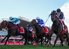 Romantic Warrior edges out Mr Brightside in the 2023 G1 W.S. Cox Plate (2040m)