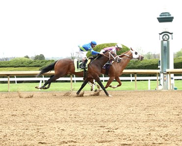 Backtrack - Horse Profile - BloodHorse