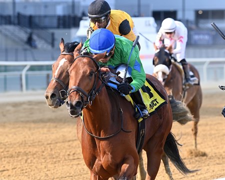 Mo Plex wins the Bay Shore Stakes at Aqueduct Racetrack