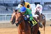 Mo Plex wins the 2025 Bay Shore Stakes at Aqueduct Racetrack
