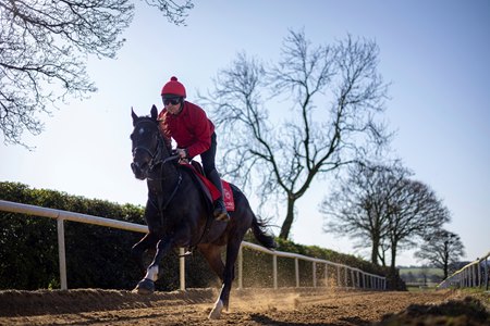Green Impact trains ahead of the Irish Derby
