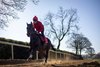 Jessica Harrington’s Classic entraint Green Impact with rider Sean Byrne on the gallops.
Moone.
Photo: Patrick McCann/Racing Post
07.04.2025