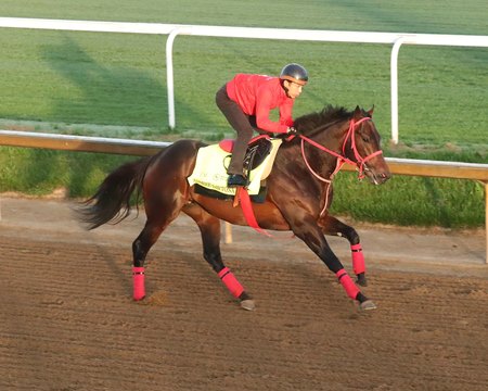 Admire Daytona breezes a half-mile April 22 at Churchill Downs