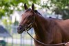 Five G, Churchill Downs, April 29 2025