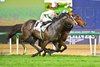Soul Rush wins the 2025 Dubai Turf at Meydan Racecourse