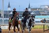 Trainer D. Wayne Lukas leads American Promise off the track at Churchill Downs on April 28, 2025. Photo By: Chad B. Harmon