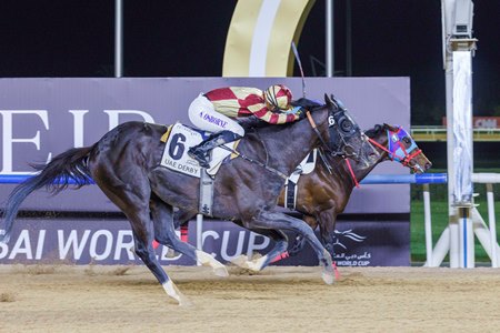 Heart of Honor (outside) comes up just a nose short of Admire Daytona in the UAE Derby at Meydan Racecourse