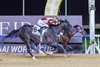 Admire Daytona wins the 2025 UAE Derby at Meydan Racecourse