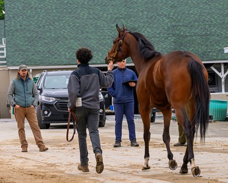 Dr. Nick Smith (left), chief racing veterinarian for the Kentucky Horse Racing and Gaming Corporation, inspects a horse on the Churchill Downs backstretch