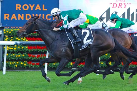 Treasurethe Moment wins the Australian Oaks at Randwick Racecourse