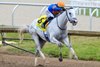 White Abarrio wins the 2025 Ghostzapper Stakes at Gulfstream Park