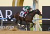 Raging Torrent wins the 2025 Godolphin Mile at Meydan Racecourse