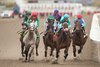 Jockey Pietro Moran #7(light blue silks) leads into the 1st turn during the 6th race enroute to capturing for owners X-Men Racing LLC, Madaket Stable LLC,and SF Racing, trained by Kevin Attard.(L-R) #5 Orderofthephoeinix, ,#3Shotgun Wedding (Jockey Rafael Hernandez)(winner Party On).Woodbine/ Michael Burns Photo
