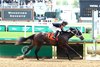 Sassy C W, Maiden Win, Churchill Downs, April 30 2025
First winner for Yaupon