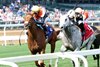 BRIDLE A BUTTERFLY wins the 2025 William Walker Stakes at Churchill Downs