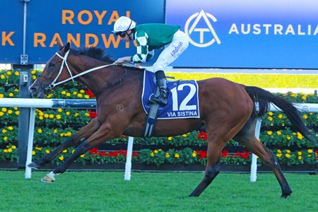 Via Sistina wins the Winx Stakes at Randwick Racecourse