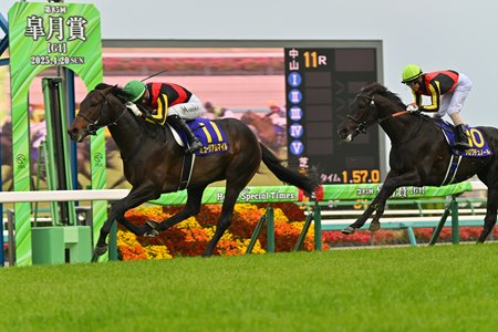 Museum Mile wins the Japanese Two Thousand Guineas at Nakayama Racecourse
