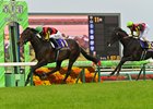 Museum Mile wins the 2025 Satsuki Sho at Nakayama Race Course
ridden by Joao Moreira, trained by Daisuke Takayanagi, and owned by Sunday Racing