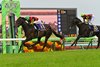 Museum Mile wins the 2025 Satsuki Sho at Nakayama Race Course
ridden by Joao Moreira, trained by Daisuke Takayanagi, and owned by Sunday Racing