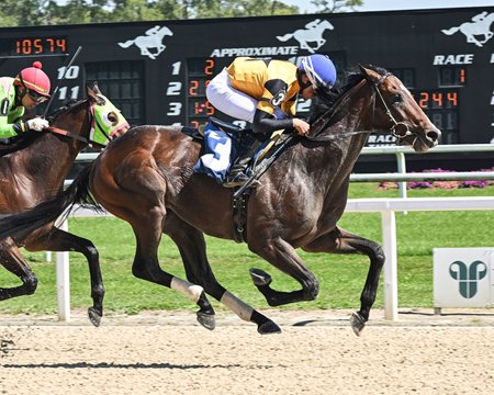 Statesman wins an allowance optional claiming race at Tampa Bay Downs