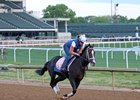 Good Cheer on the track at Churchill Downs on April 28, 2025. Photo By: Chad B. Harmon
