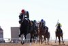 TAKE CHARGE TOM wins the 2025 Mine That Bird Derby at Sunland Park