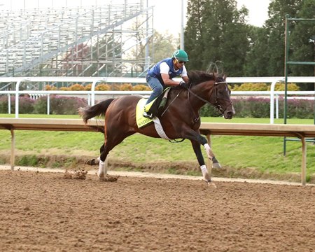 Sovereignty records a five-furlong breeze in 1:00 3/5 at Churchill Downs