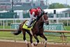 Grande on the track at Churchill Downs on April 29, 2025. Photo By: Chad B. Harmon