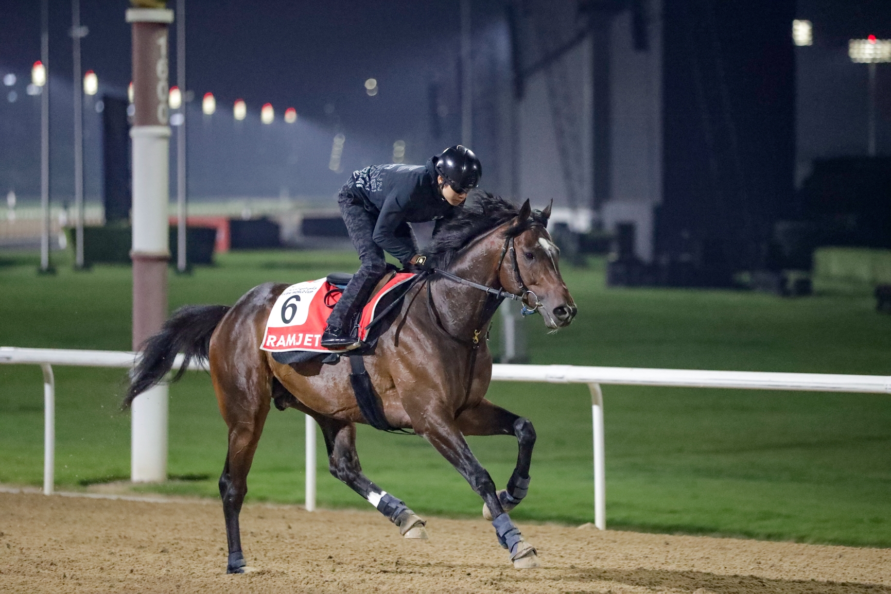 Ramjet (JPN) - Horse Profile - BloodHorse