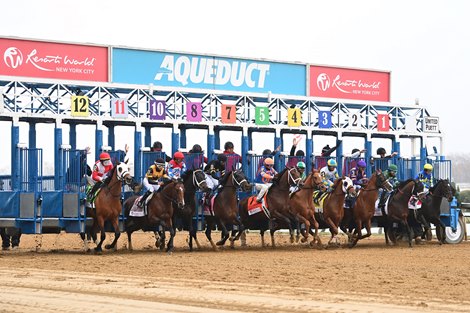 A Century in Motion: The Evolution of Aqueduct - BloodHorse