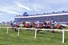 First turf race of 2025, Laurel Park, April 18