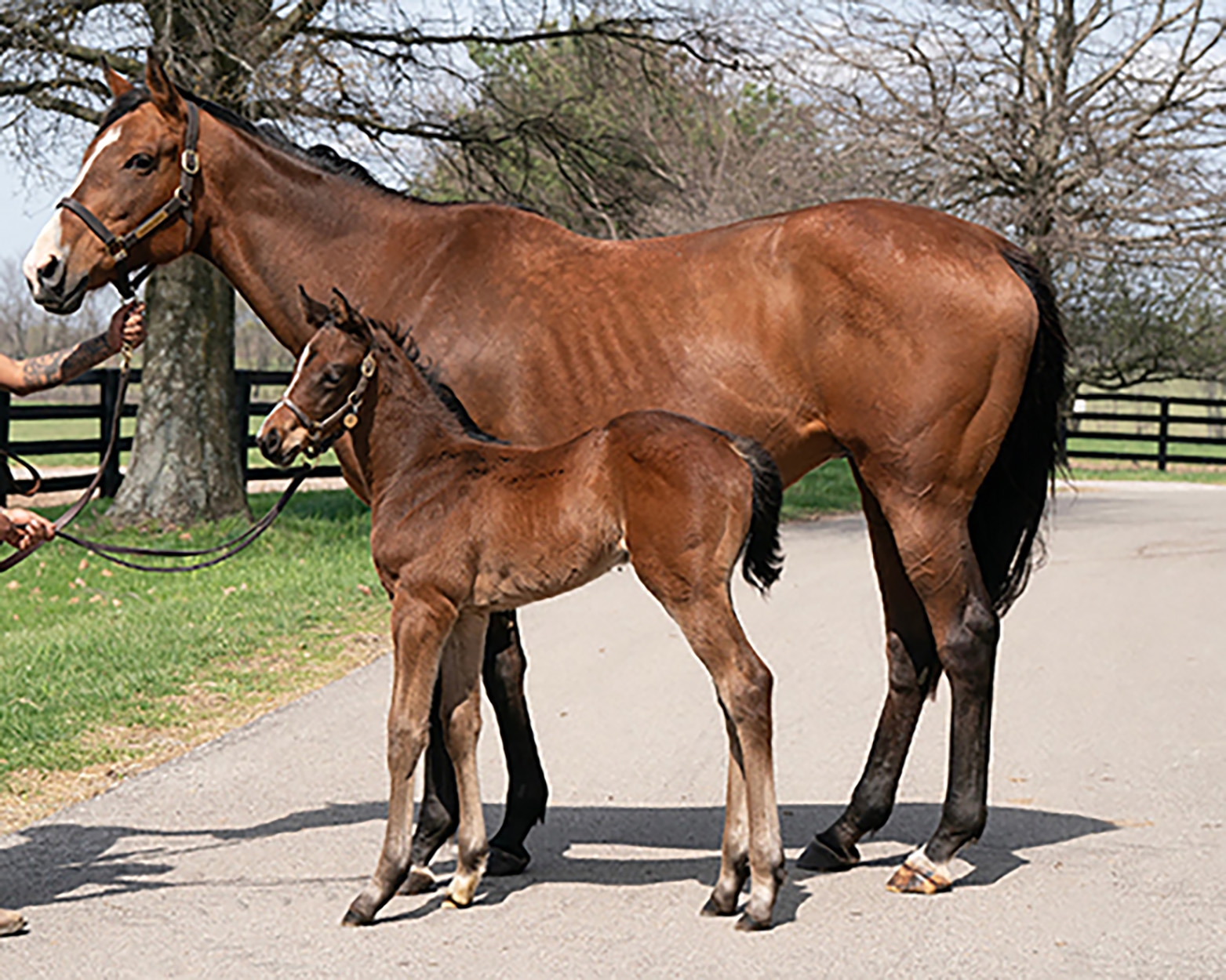 925d1ff7092846d1a8dc207fcc0adf