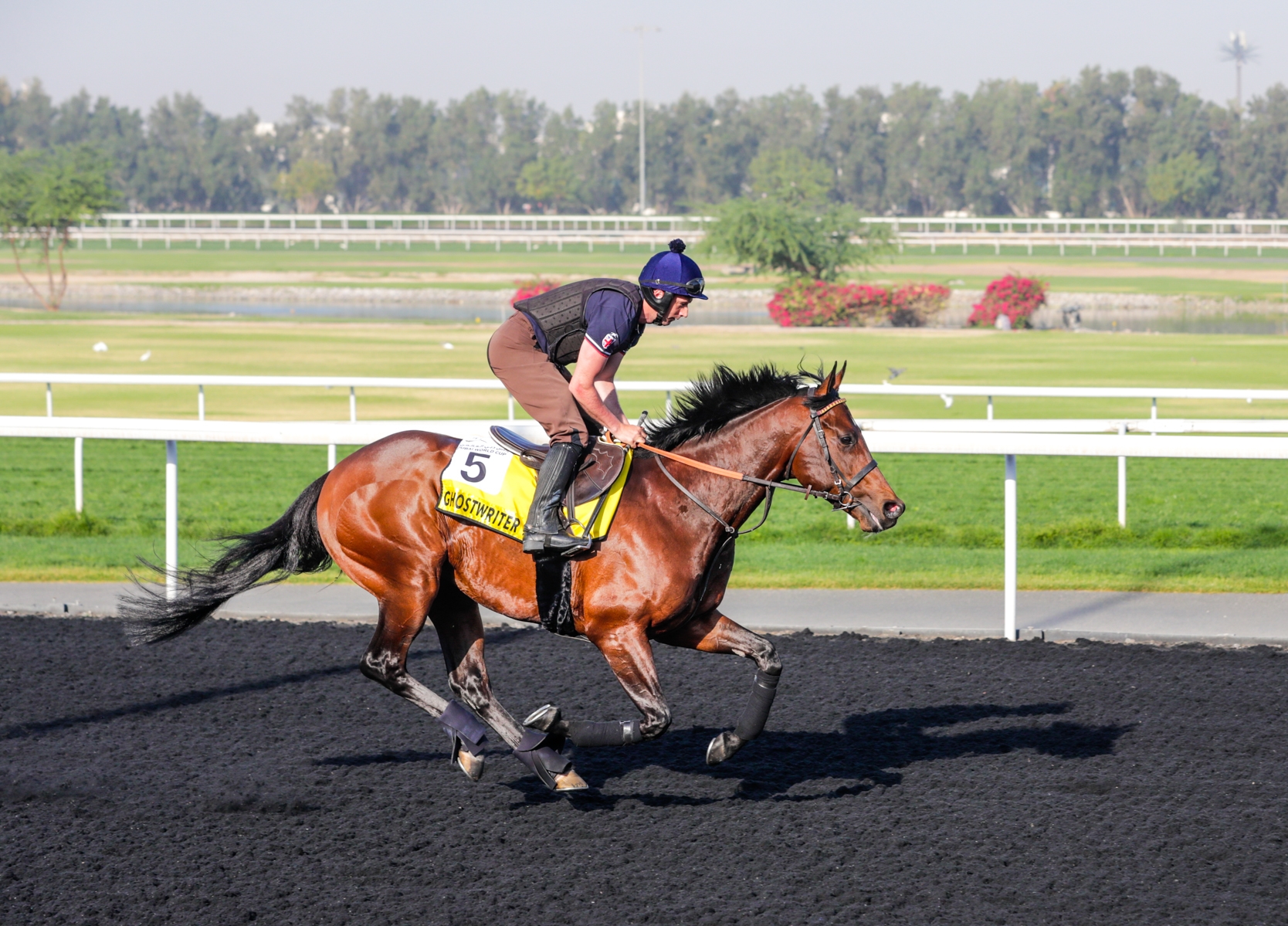 Record Gross for JRHA Yearling Sale - BloodHorse