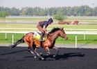 Ghostwriter, Meydan Racecourse, April 3 2025