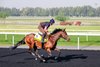 Ghostwriter, Meydan Racecourse, April 3 2025