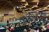 Scenics, 2025 Selected Horses of Racing Age Sale