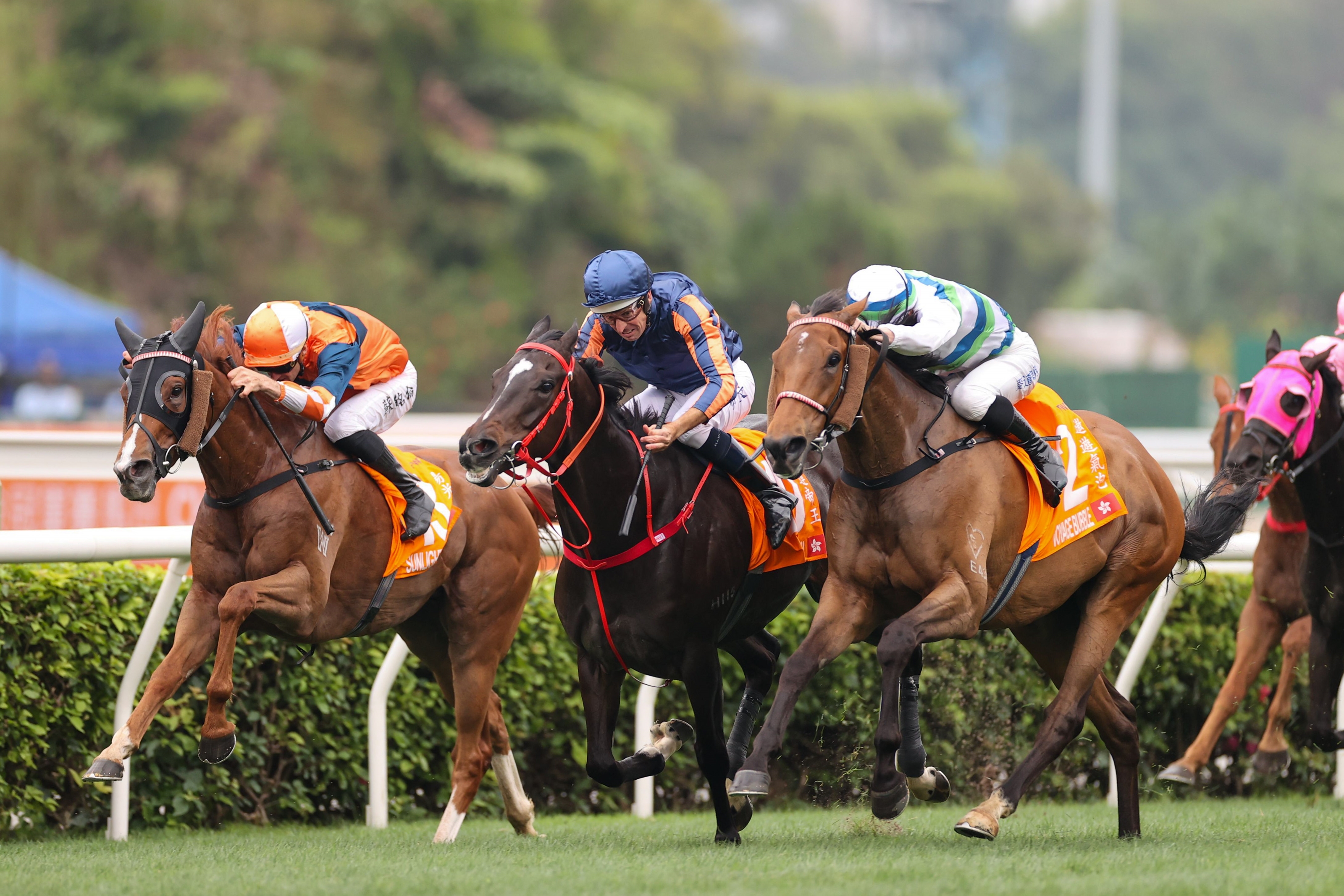 Record Gross for JRHA Yearling Sale - BloodHorse