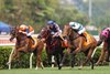 Red Lion and Voyage Bubble fight out the G1 FWD Champions Mile