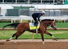 Journalism , Kentucky Derby 2025, Churchill Downs, Louisville, KY, April 27, 2025, Javier Molina-Bloodhorse
