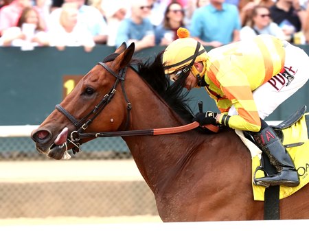 Jokestar wins an allowance race earlier this year on dirt at Oaklawn Park