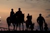 Thoroughbreds walk back to the barns after early morning training at Woodbine  Racetrack. April 25, 2025 Woodbine/ Michael Burns Photo