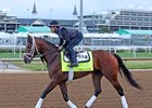 Grande on the track at Churchill Downs on April 28, 2025. Photo By: Chad B. Harmon
