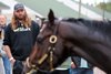 Jayson Werth watching Flying Mohawk at Churchill Downs on April 30, 2025. Photo By: Chad B. Harmon