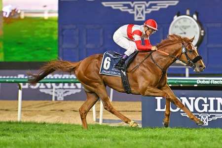 Danon Decile wins the Dubai Sheema Classic at Meydan Racecourse