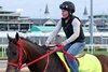 Coal Battle on the track at Churchill Downs on April 28, 2025. Photo By: Chad B. Harmon