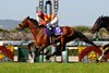 Bellagio Opera wins the 2025 Osaka Hai at Hanshin Racecourse