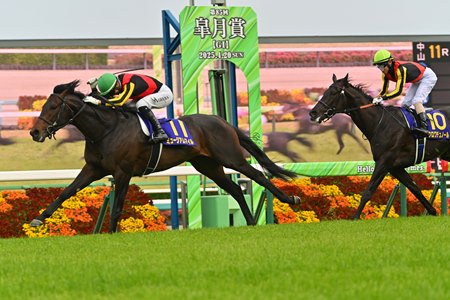 Museum Mile wins the Satsuki Sho at Nakayama Racecourse